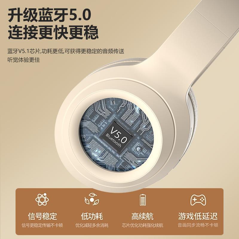 DR58 ANC Bluetooth Headset